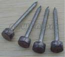 lead head nails Art.No.NU04182