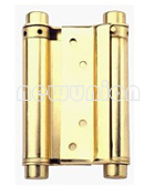 Duoble action spring hinge